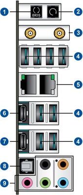 Back Ports image